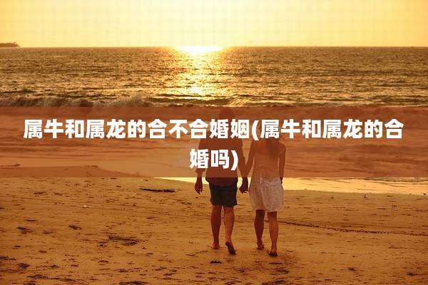 属牛和属龙的合不合婚姻(属牛和属龙的合婚吗)