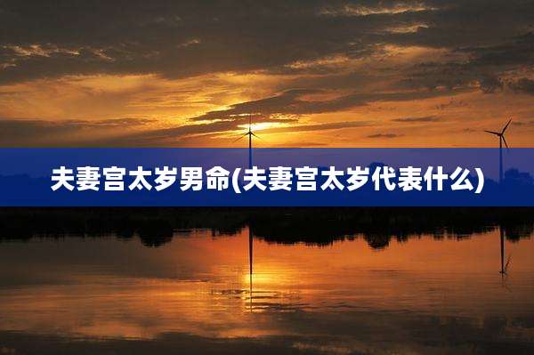 夫妻宫太岁男命(夫妻宫太岁代表什么)