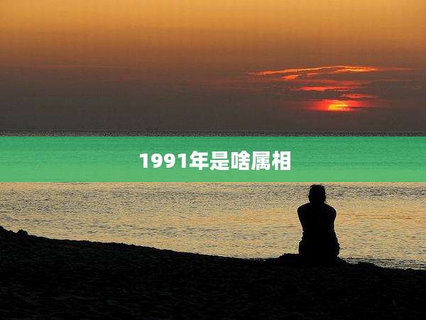1991年是啥属相