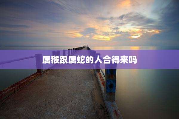 属猴跟属蛇的人合得来吗