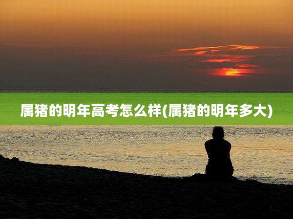 属猪的明年高考怎么样(属猪的明年多大)