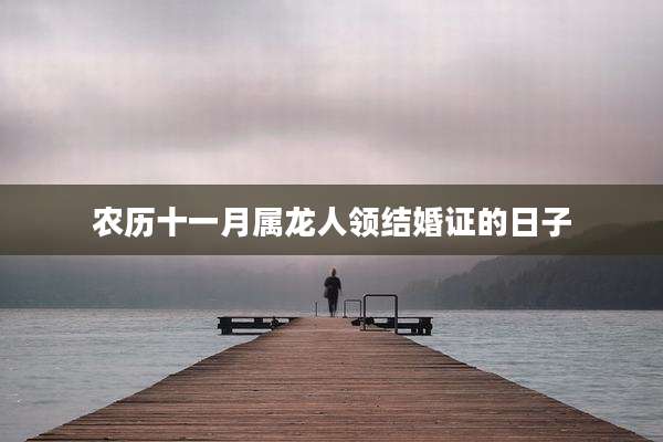农历十一月属龙人领结婚证的日子