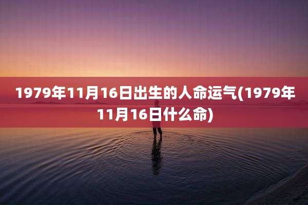 1979年11月16日出生的人命运气(1979年11月16日什么命)