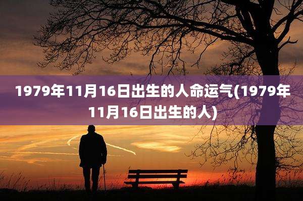 1979年11月16日出生的人命运气(1979年11月16日出生的人)