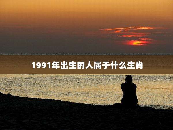 1991年出生的人属于什么生肖