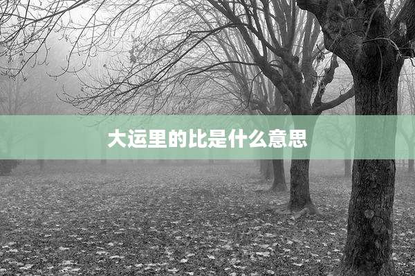 大运里的比是什么意思