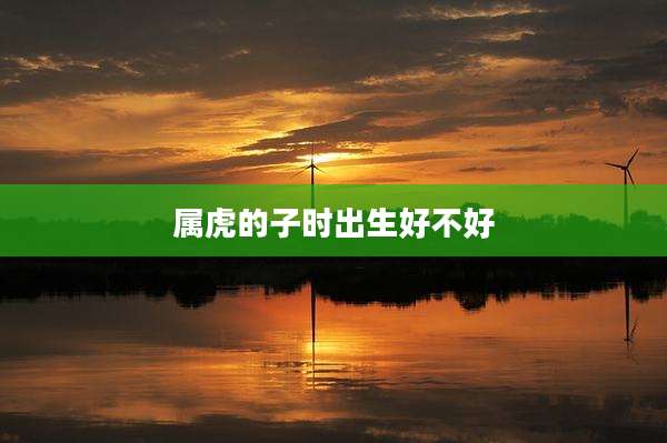 属虎的子时出生好不好