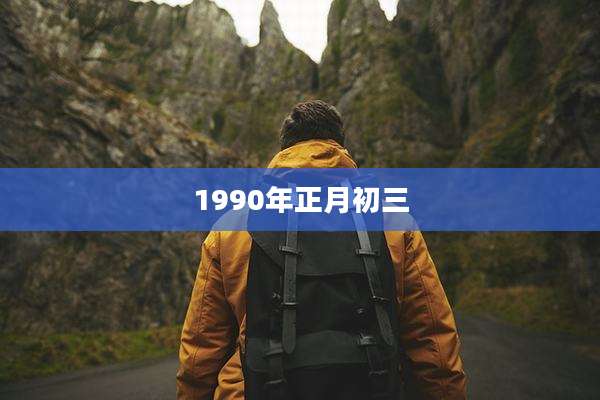 1990年正月初三