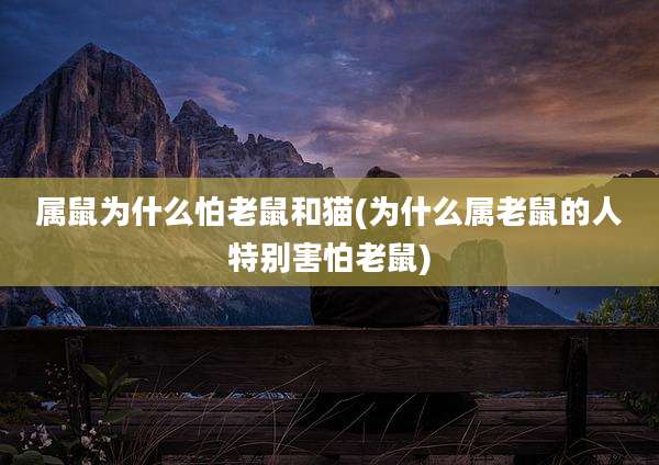属鼠为什么怕老鼠和猫(为什么属老鼠的人特别害怕老鼠)