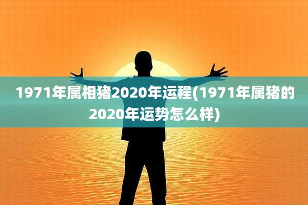 1971年属相猪2020年运程(1971年属猪的2020年运势怎么样)