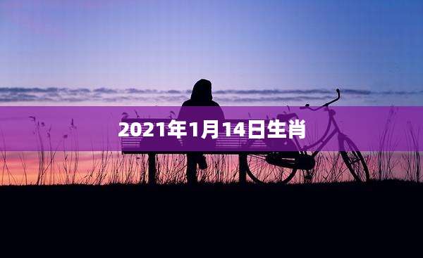 2021年1月14日生肖