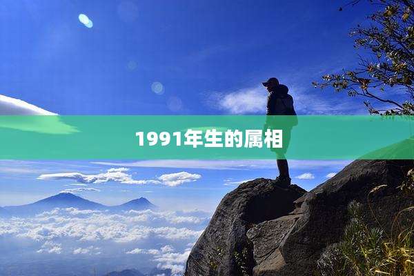 1991年生的属相