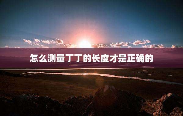 怎么测量丁丁的长度才是正确的