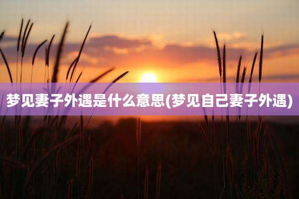 梦见妻子外遇是什么意思(梦见自己妻子外遇)