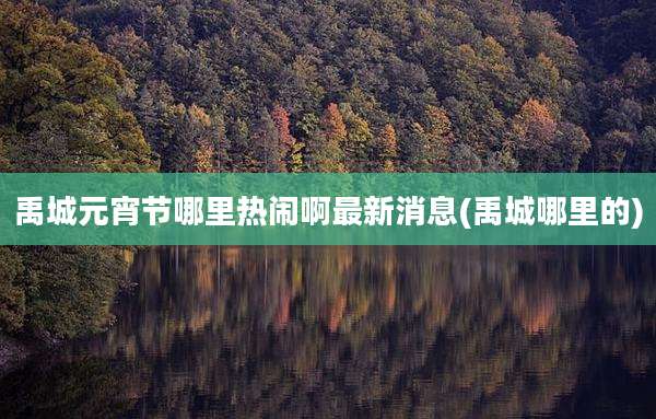 禹城元宵节哪里热闹啊最新消息(禹城哪里的)