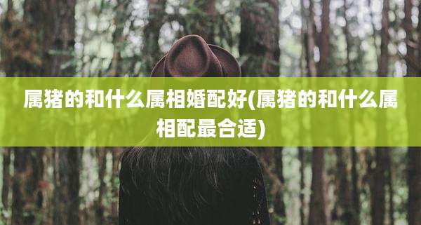 属猪的和什么属相婚配好(属猪的和什么属相配最合适)