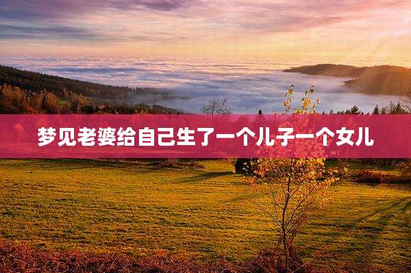 梦见老婆给自己生了一个儿子一个女儿
