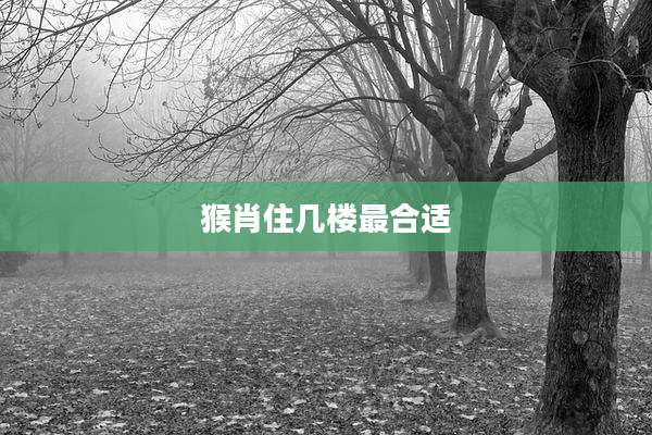 猴肖住几楼最合适