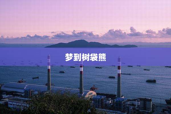 梦到树袋熊