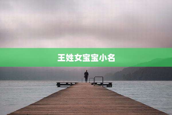 王姓女宝宝小名