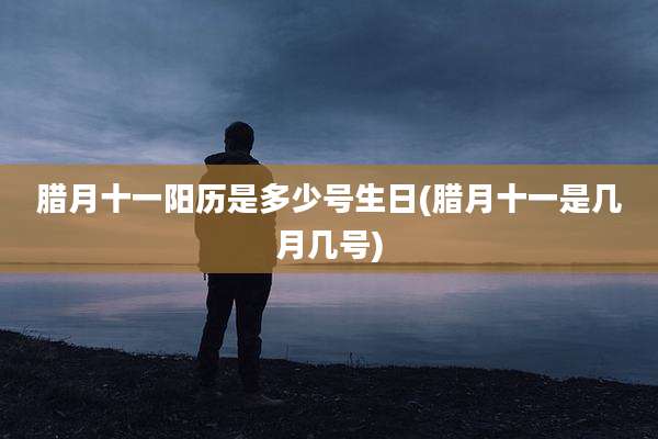 腊月十一阳历是多少号生日(腊月十一是几月几号)