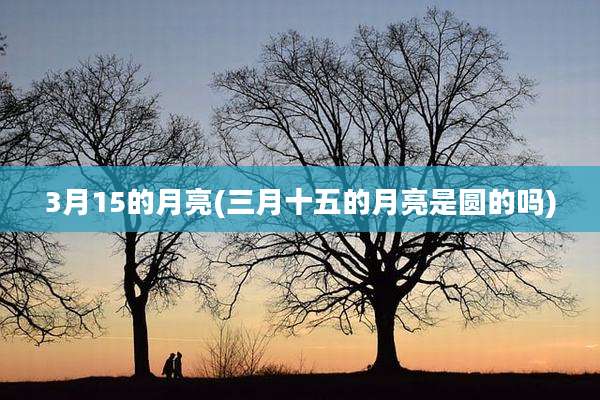 3月15的月亮(三月十五的月亮是圆的吗)
