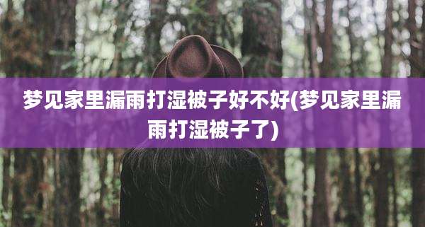 梦见家里漏雨打湿被子好不好(梦见家里漏雨打湿被子了)