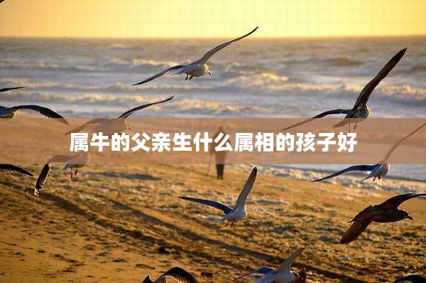 属牛的父亲生什么属相的孩子好