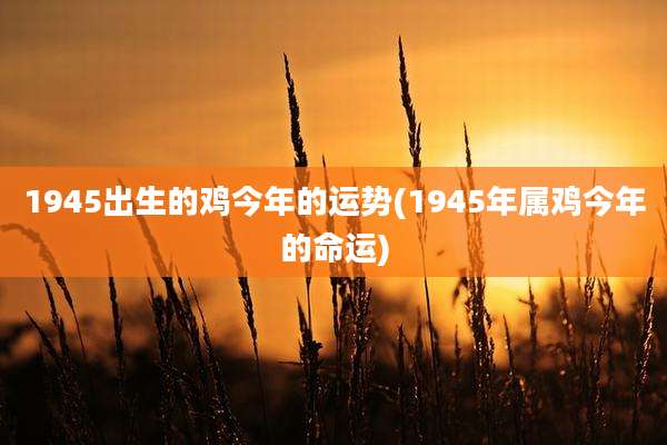 1945出生的鸡今年的运势(1945年属鸡今年的命运)