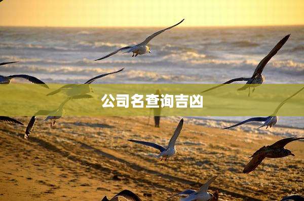公司名查询吉凶