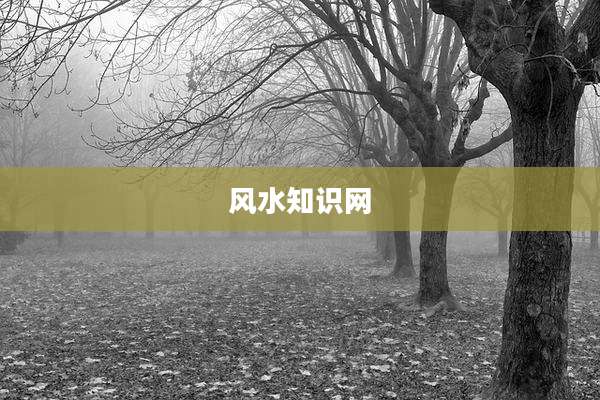 风水知识网