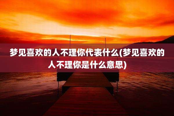 梦见喜欢的人不理你代表什么(梦见喜欢的人不理你是什么意思)