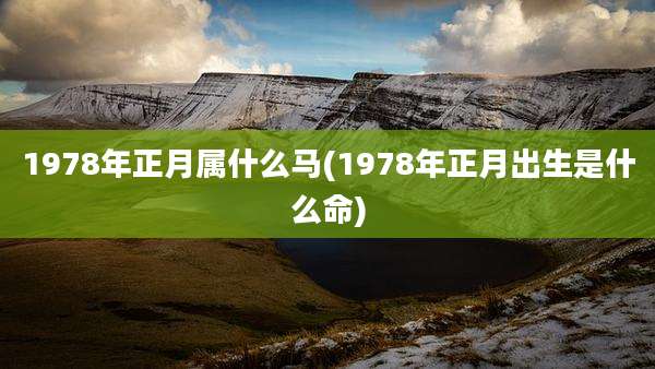1978年正月属什么马(1978年正月出生是什么命)