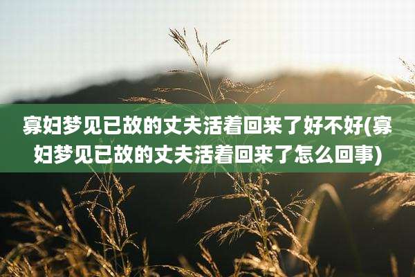 寡妇梦见已故的丈夫活着回来了好不好(寡妇梦见已故的丈夫活着回来了怎么回事)