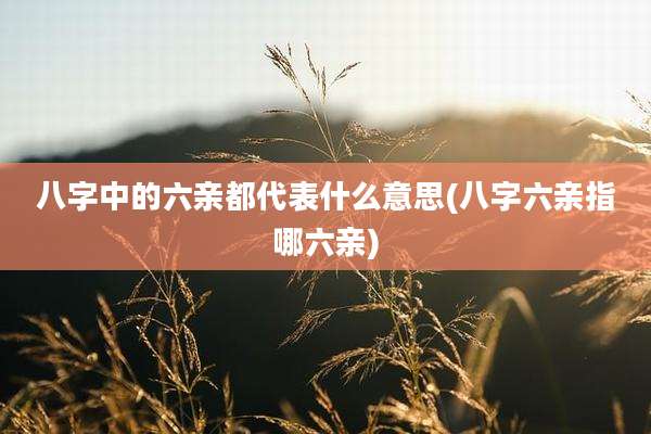 八字中的六亲都代表什么意思(八字六亲指哪六亲)