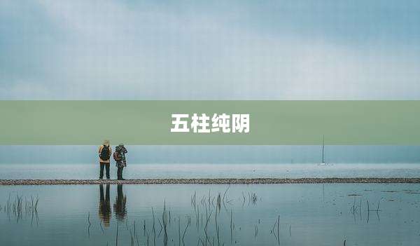 五柱纯阴