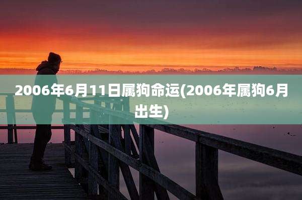 2006年6月11日属狗命运(2006年属狗6月出生)