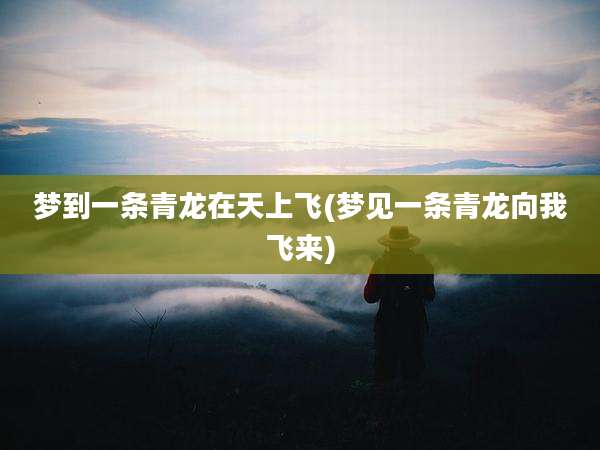 梦到一条青龙在天上飞(梦见一条青龙向我飞来)