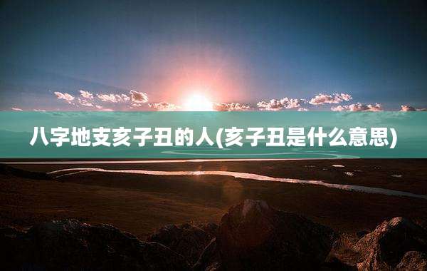 八字地支亥子丑的人(亥子丑是什么意思)