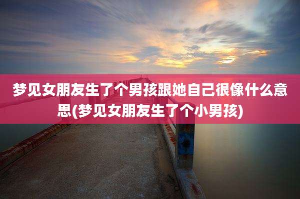 梦见女朋友生了个男孩跟她自己很像什么意思(梦见女朋友生了个小男孩)