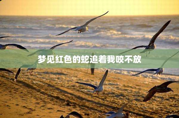 梦见红色的蛇追着我咬不放