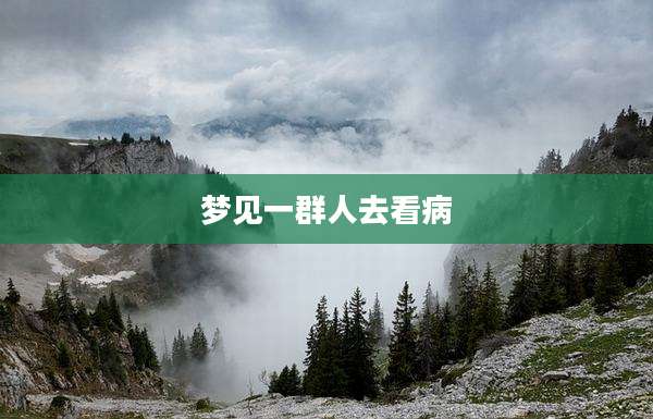 梦见一群人去看病