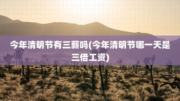 今年清明节有三薪吗(今年清明节哪一天是三倍工资)
