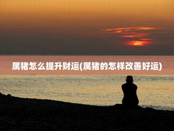 属猪怎么提升财运(属猪的怎样改善好运)