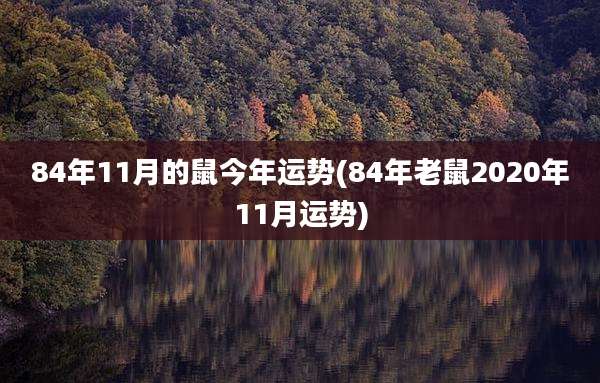 84年11月的鼠今年运势(84年老鼠2020年11月运势)