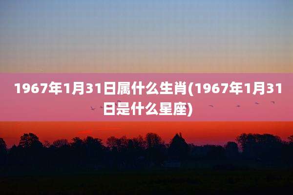1967年1月31日属什么生肖(1967年1月31日是什么星座)