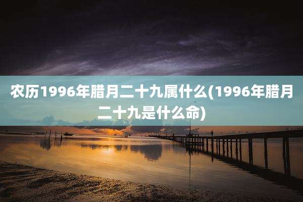 农历1996年腊月二十九属什么(1996年腊月二十九是什么命)