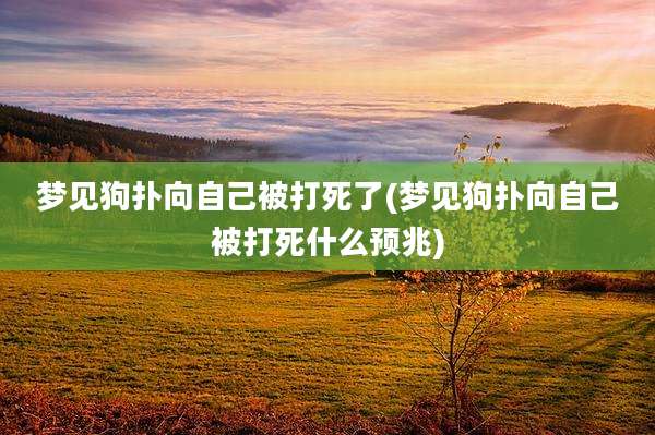 梦见狗扑向自己被打死了(梦见狗扑向自己被打死什么预兆)