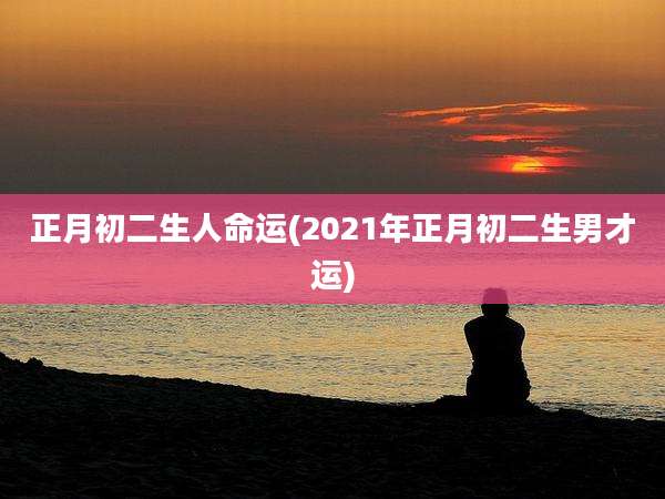 正月初二生人命运(2021年正月初二生男才运)