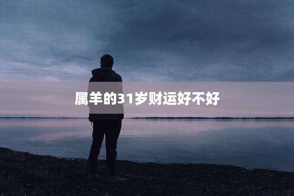 属羊的31岁财运好不好